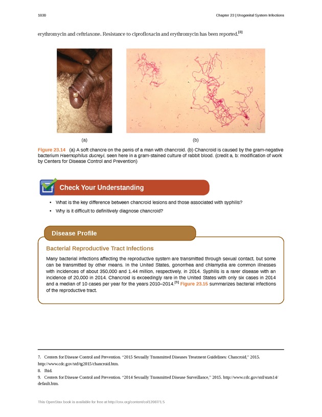 Microbiology - 