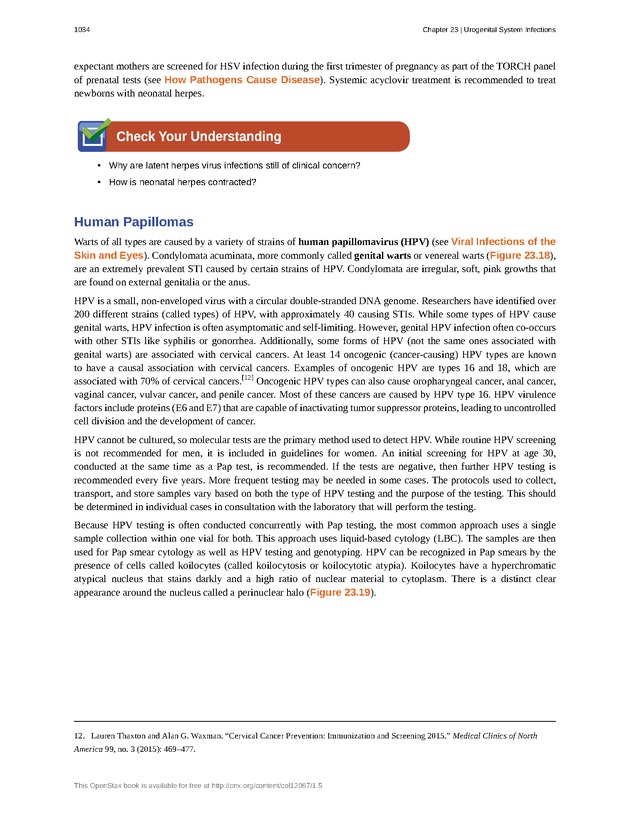 Microbiology - 