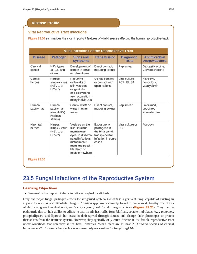 Microbiology - 