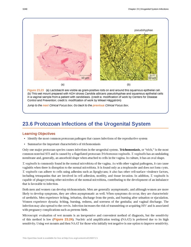 Microbiology - 