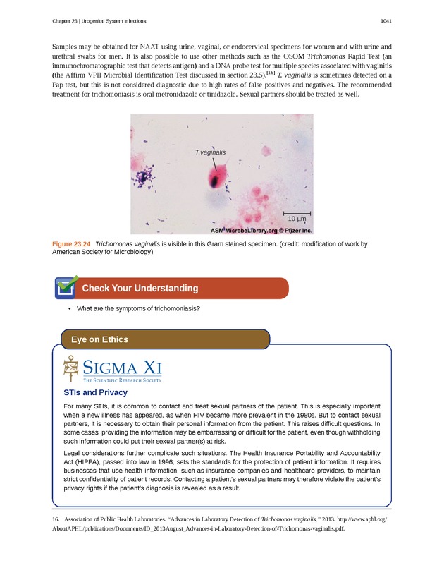 Microbiology - 