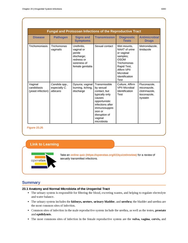 Microbiology - 