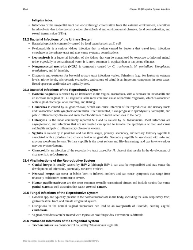 Microbiology - 