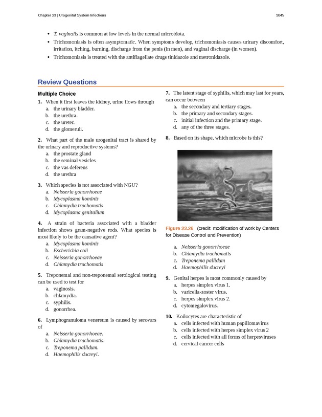Microbiology - 