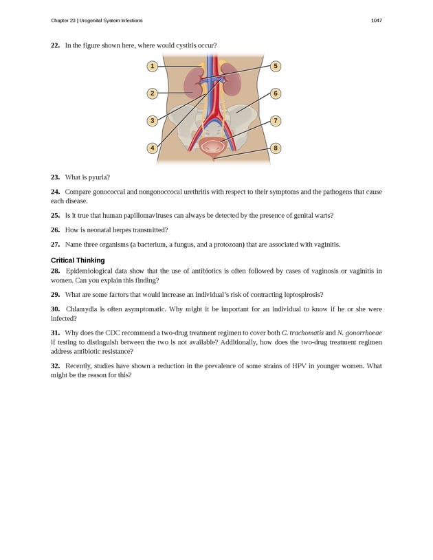 Microbiology - 