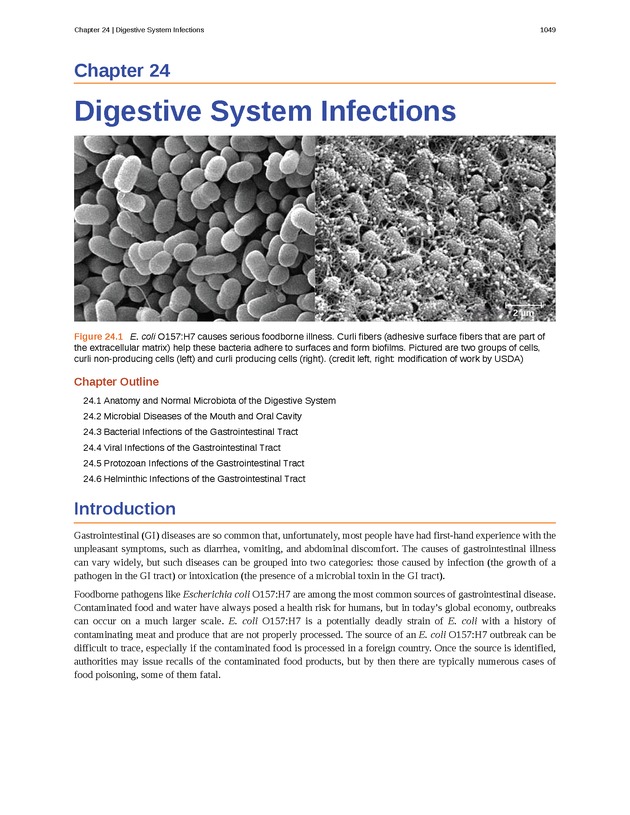 Microbiology - 