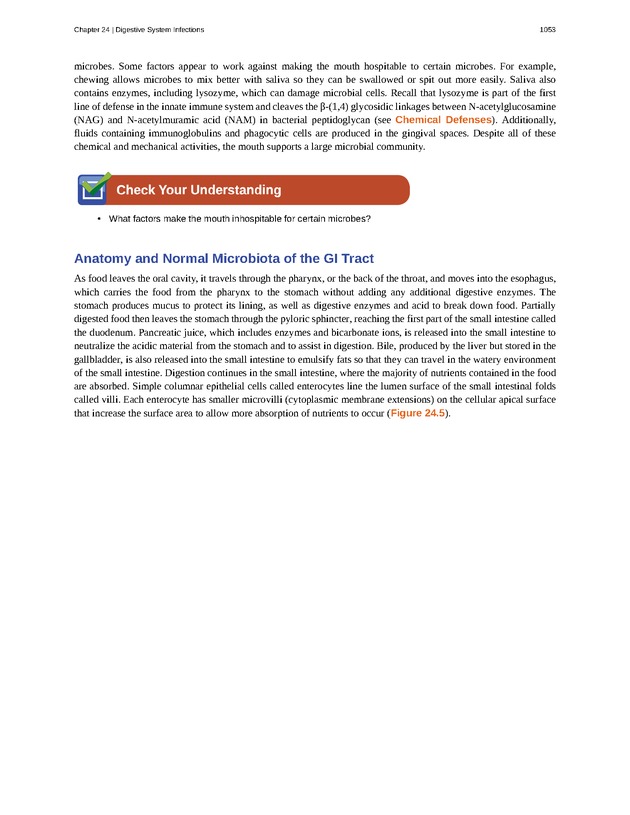 Microbiology - 