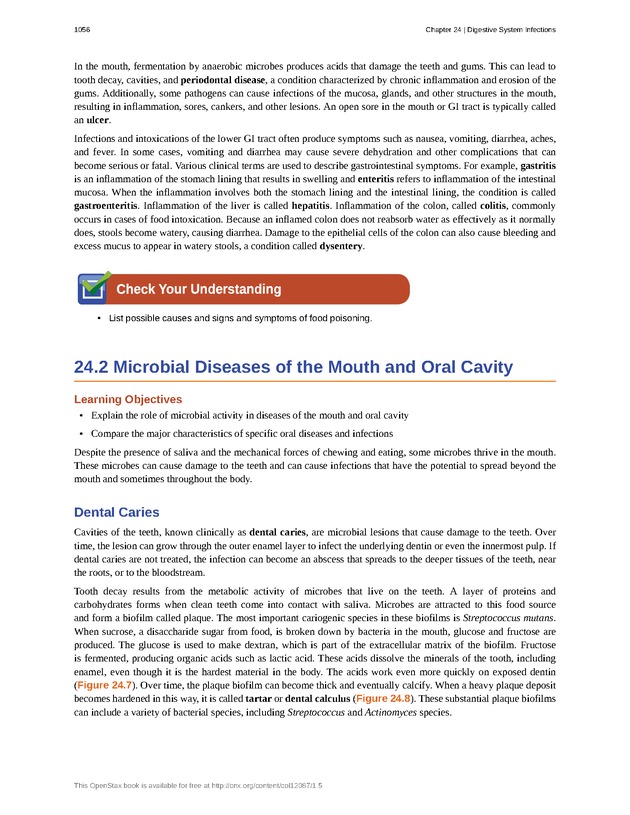 Microbiology - 