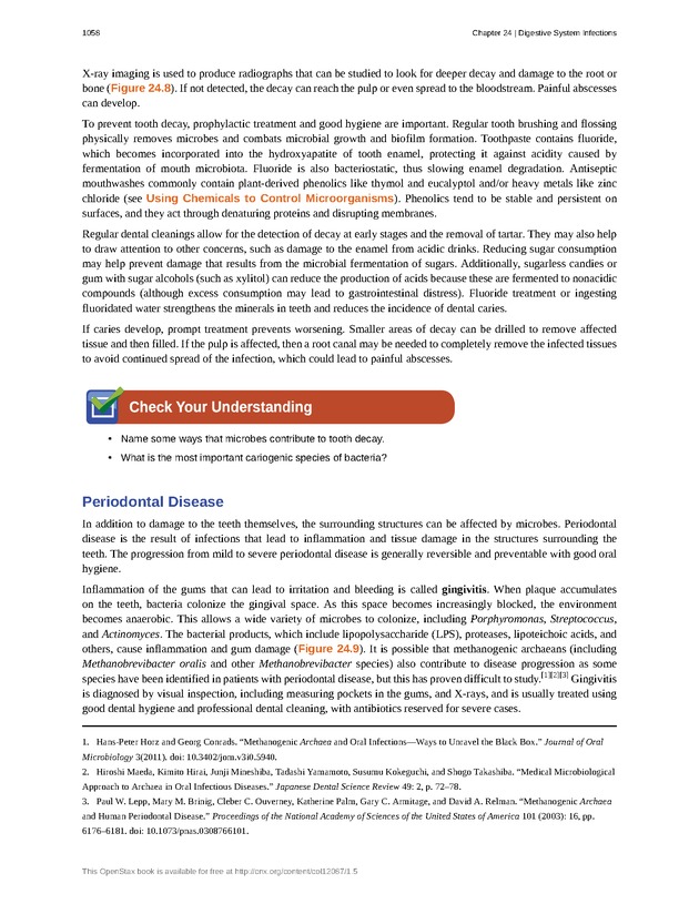 Microbiology - 