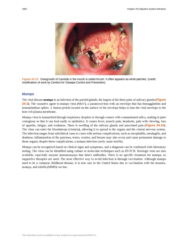 Microbiology - 