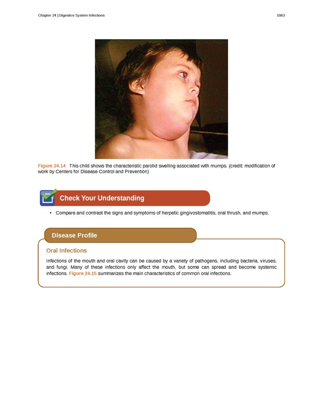 Microbiology - 