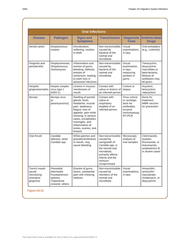 Microbiology - 