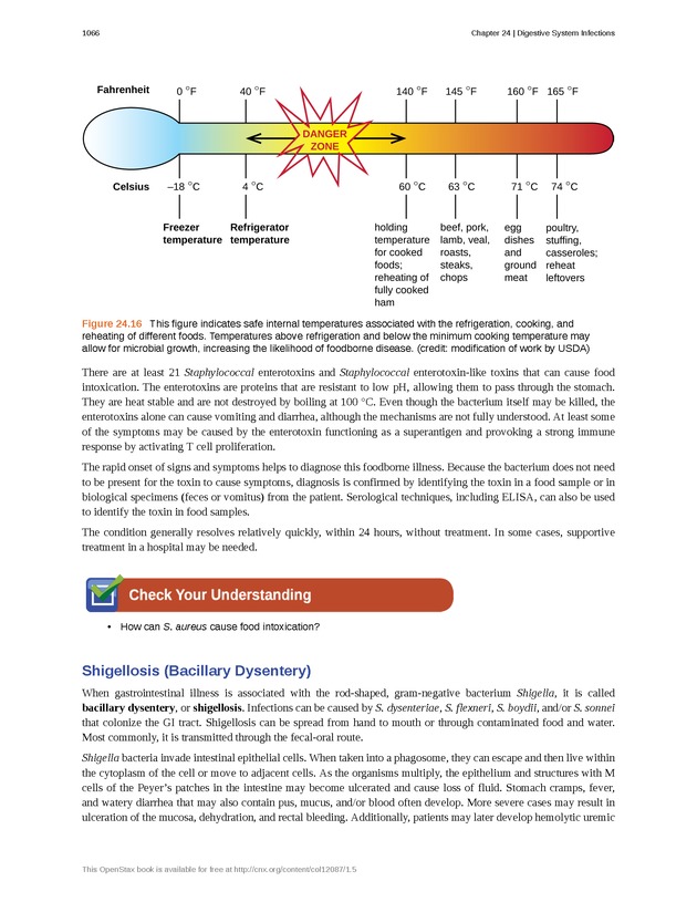 Microbiology - 