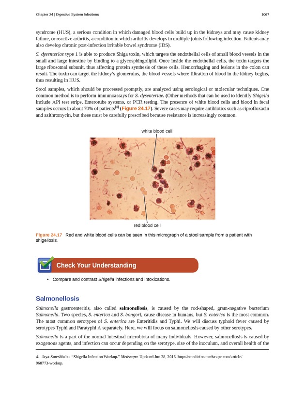 Microbiology - 