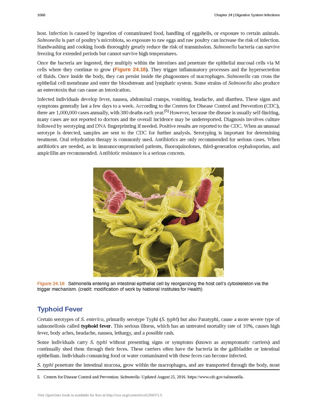 Microbiology - 