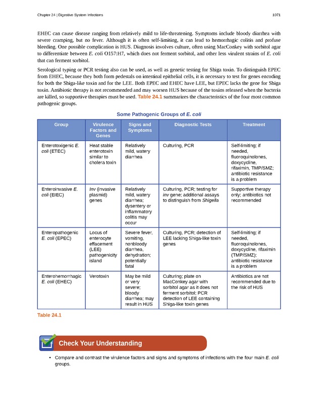 Microbiology - 