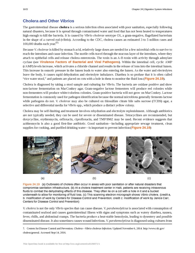 Microbiology - 
