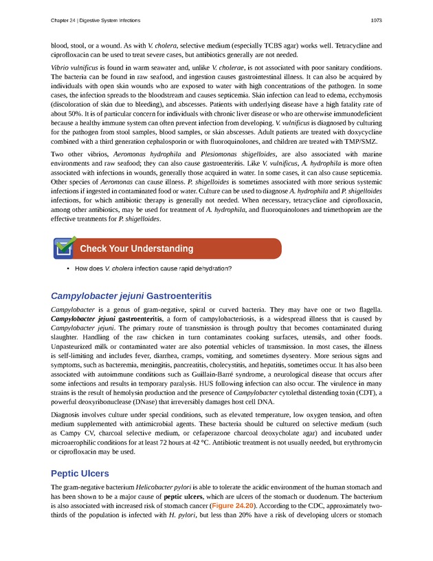 Microbiology - 