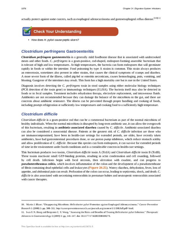 Microbiology - 