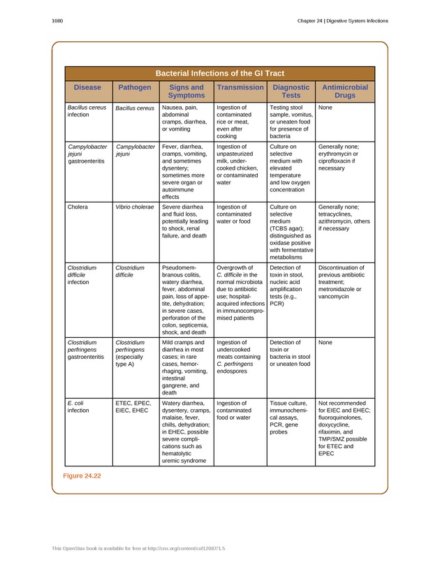 Microbiology - 