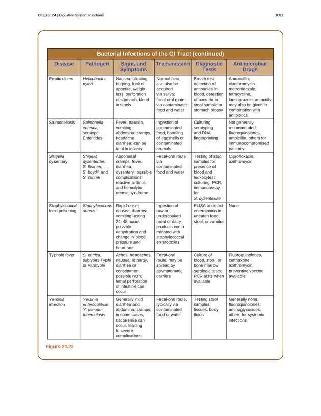 Microbiology - 