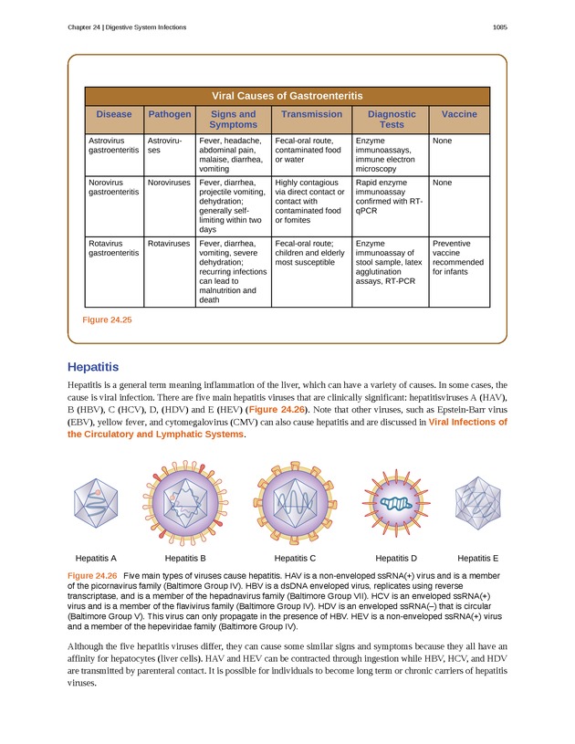 Microbiology - 