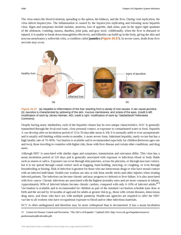 Microbiology - 