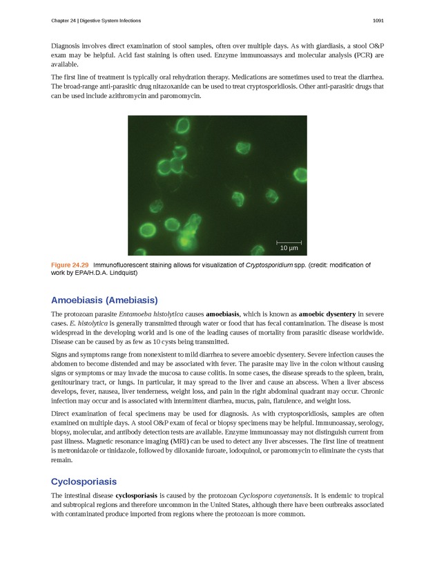 Microbiology - 