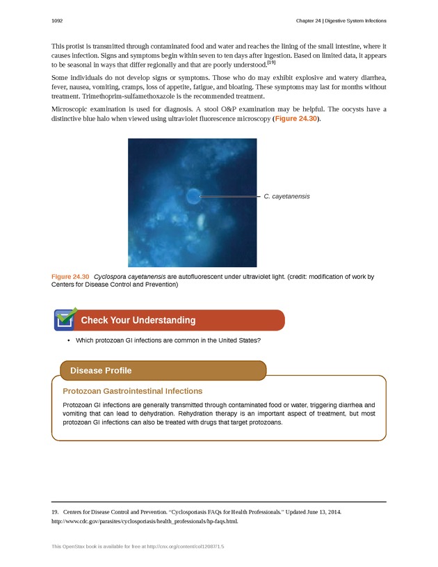 Microbiology - 