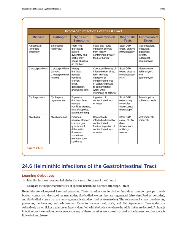 Microbiology - 