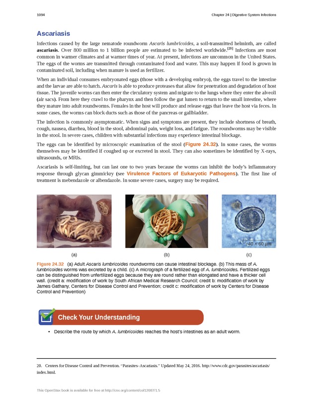 Microbiology - 