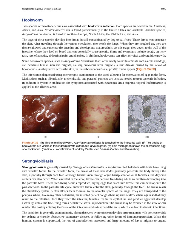 Microbiology - 