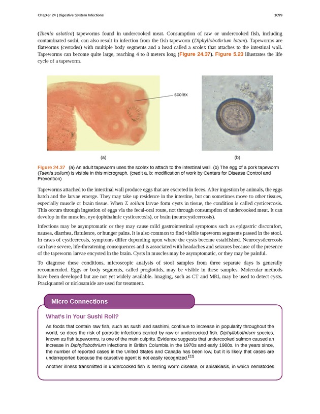 Microbiology - 
