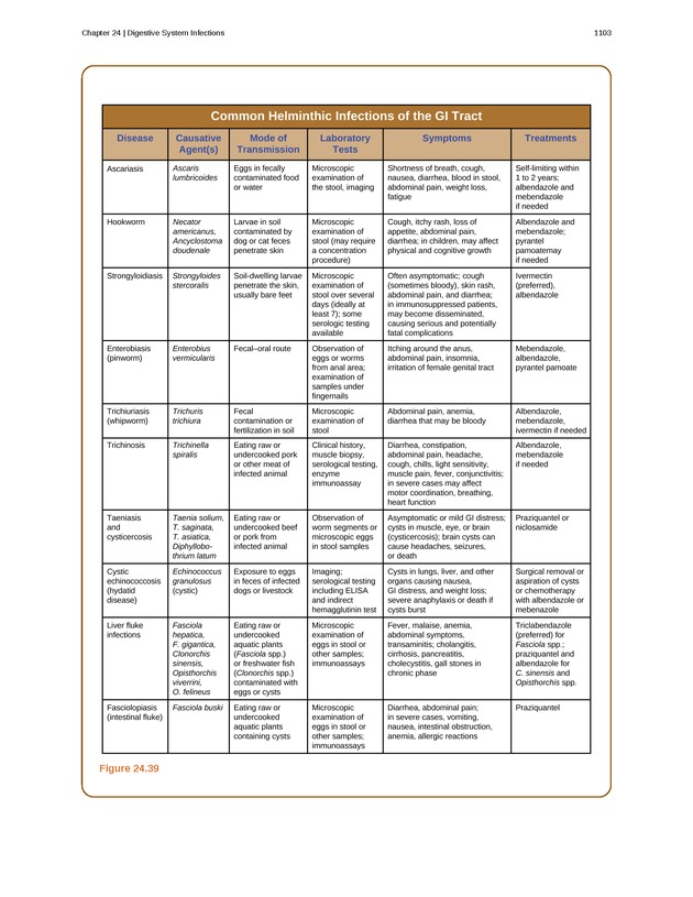 Microbiology - 