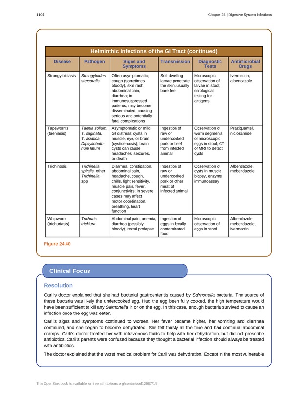 Microbiology - 