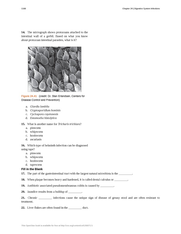 Microbiology - 