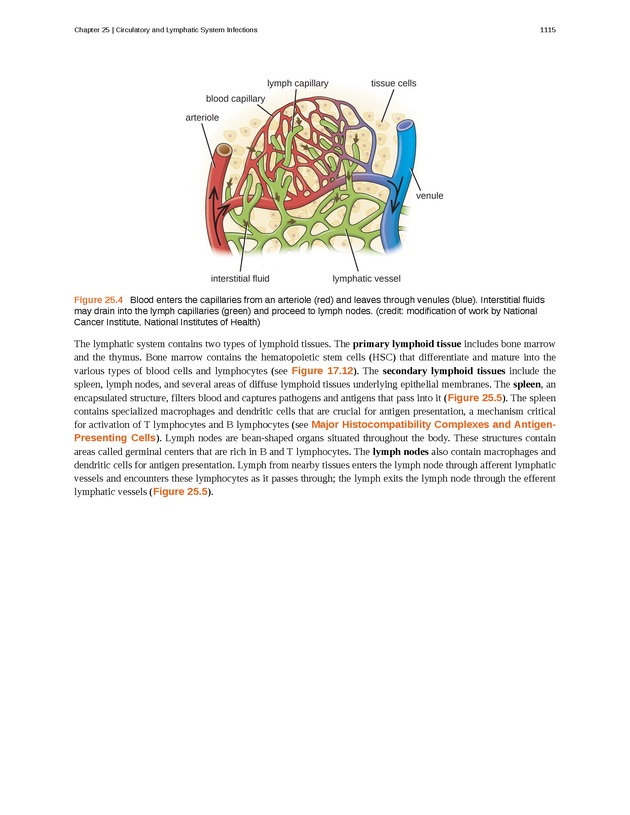Microbiology - 