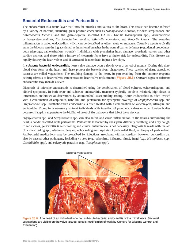 Microbiology - 