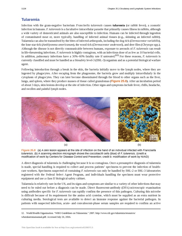 Microbiology - 