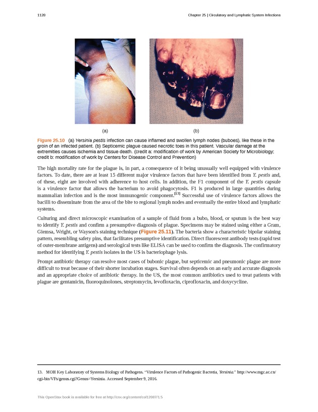 Microbiology - 