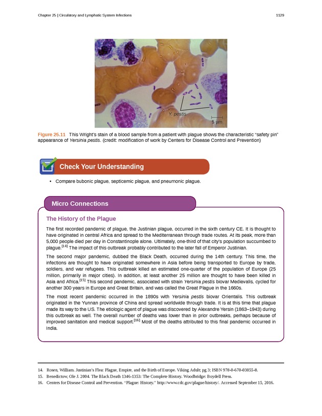 Microbiology - 