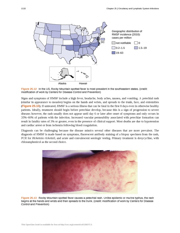 Microbiology - 