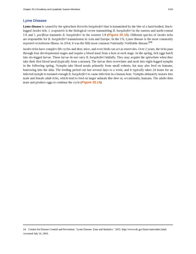 Microbiology - 