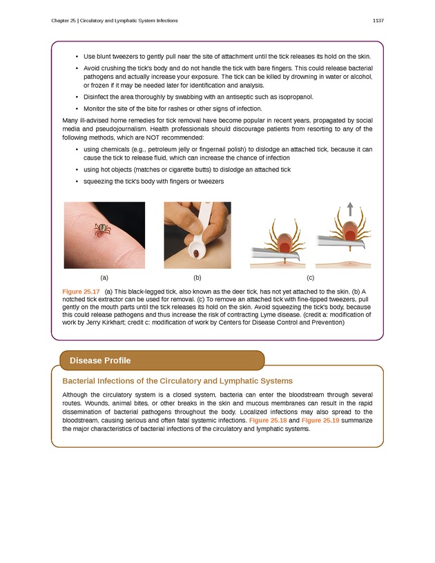 Microbiology - 
