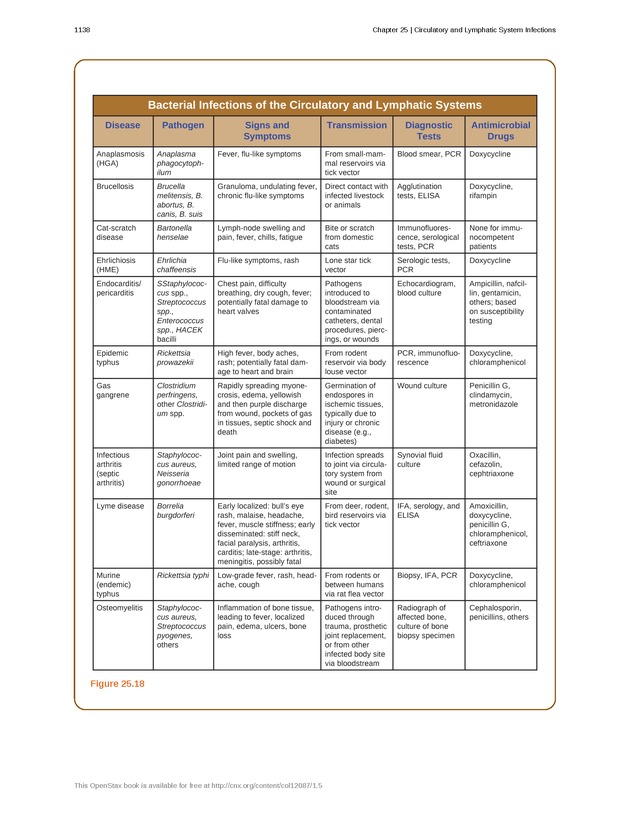 Microbiology - 