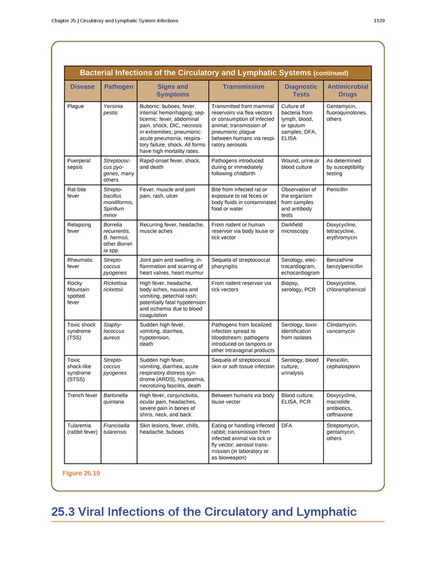 Microbiology - 