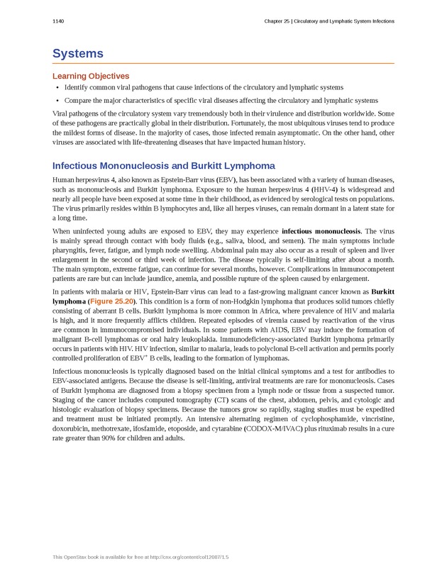 Microbiology - 
