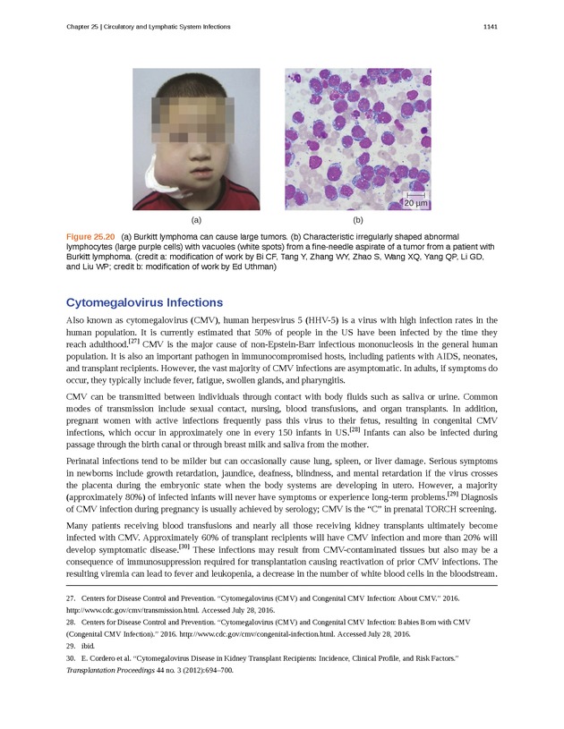 Microbiology - 