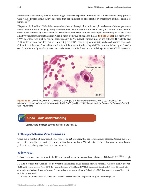 Microbiology - 