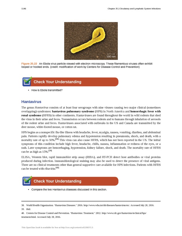 Microbiology - 